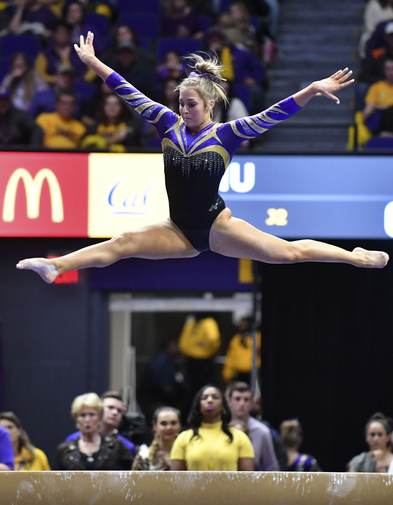 lsucalgymnastics.010519_HS_1541